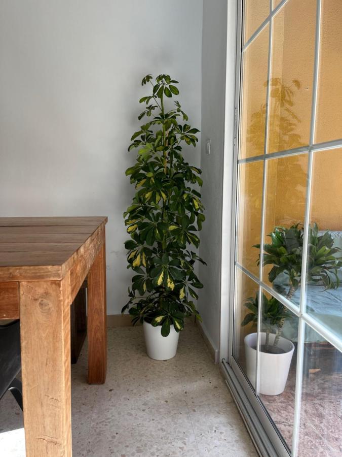 Apartamento La Biznaga 马拉加 外观 照片