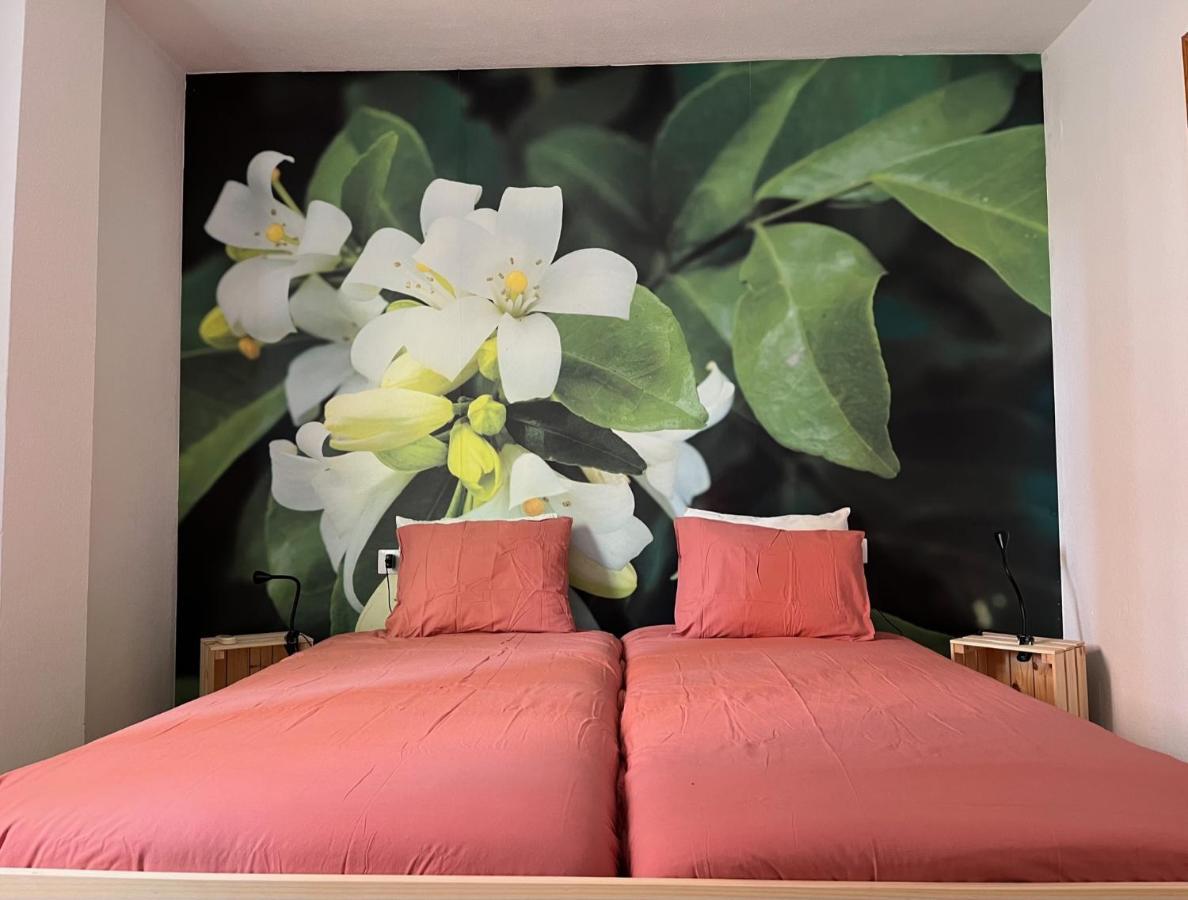 Apartamento La Biznaga 马拉加 外观 照片